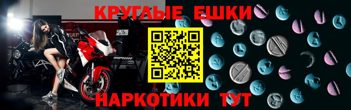 ЭКСТАЗИ бентли Отрадное