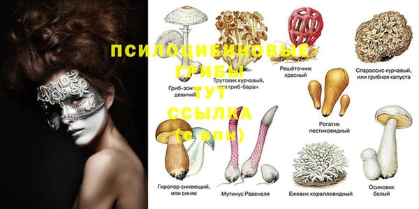 Альфа ПВП Абинск