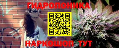 крисы Рузаевка
