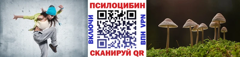 Псилоцибиновые грибы прущие грибы где можно купить наркотик Отрадное