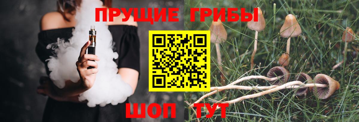 Отрадное  Галлюциногенные грибы GOLDEN TEACHER  Псилоцибиновые грибы мухоморы  Вход с VPN 