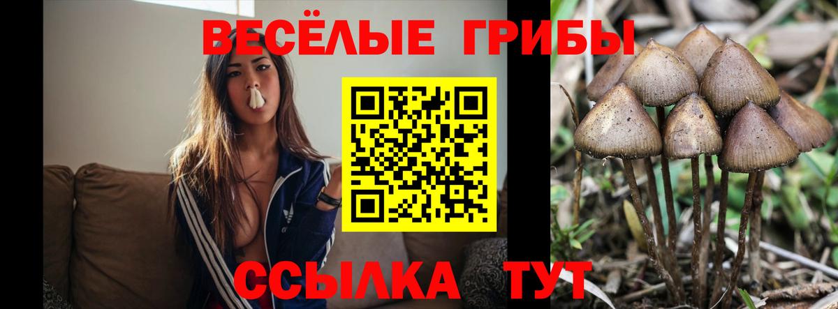 Галлюциногенные грибы мицелий Отрадное